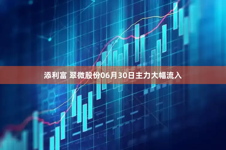 添利富 翠微股份06月30日主力大幅流入